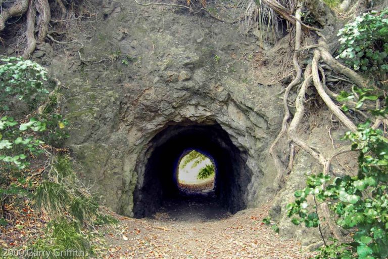 Walk through the tunnel