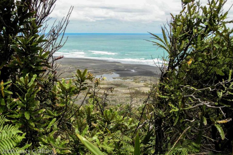 Mt Zion Walking Track