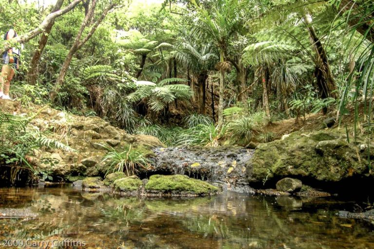 Mt Zion water hole