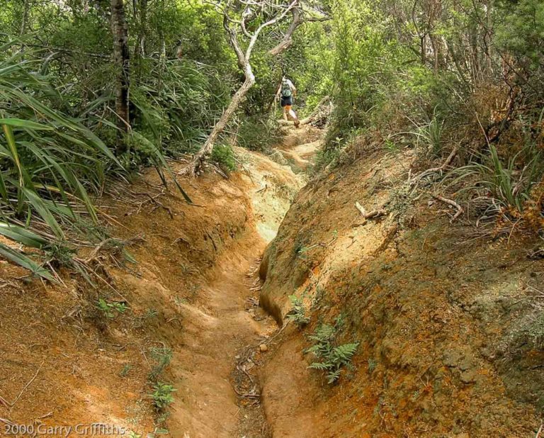 Mt Zion Walking Track