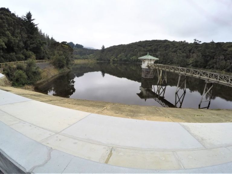 Ross Creek Reservoir Track - 9, Dunedin, South Island New Zealand - Copyright Freewalks.nz