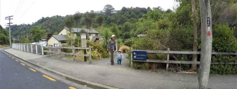 Ross Creek Reservoir Track - 8, Dunedin, South Island New Zealand - Copyright Freewalks.nz