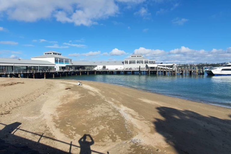 Devonport shops and ferry building at the end of the walk - Copyright Freewalks.nz