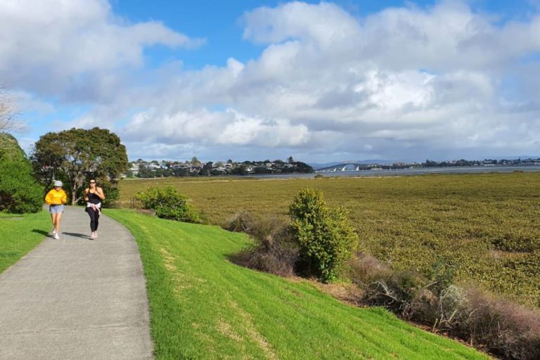 Good quality walking track meets the water about half way Takapuna to Devonport - Copyright Freewalks.nz