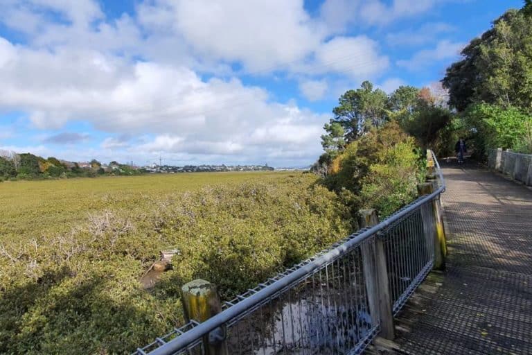Point 2 - Boardwalk and views - Copyright Freewalk.nz