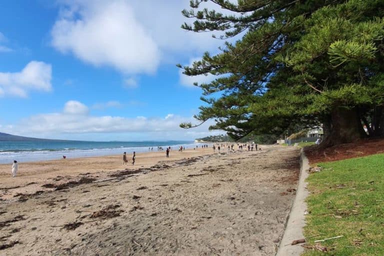 Takapuna Beach the start of the Takapuna to Devonport Green Route Walk in Auckland - Copyright Freewalks.nz