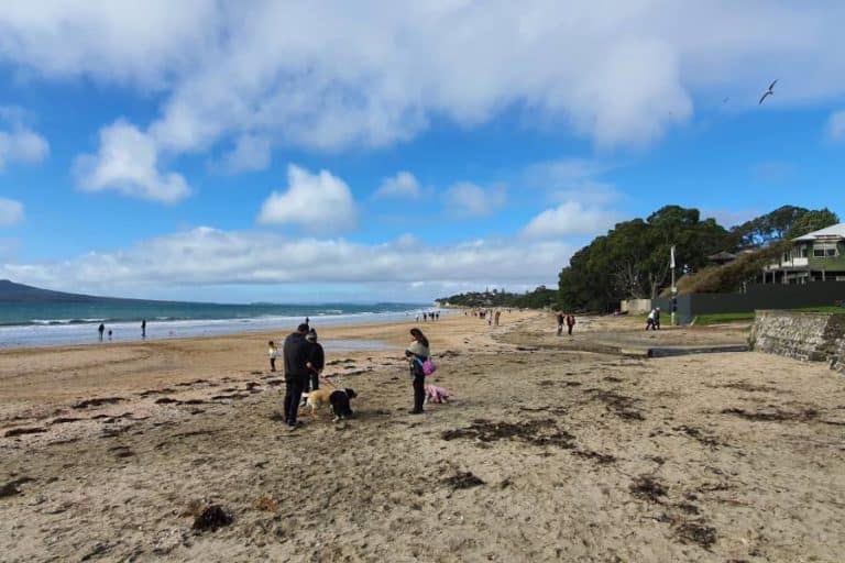 Takapuna Beach the start of the Takapuna to Devonport Green Route Walk in Auckland - Copyright Freewalks.nz