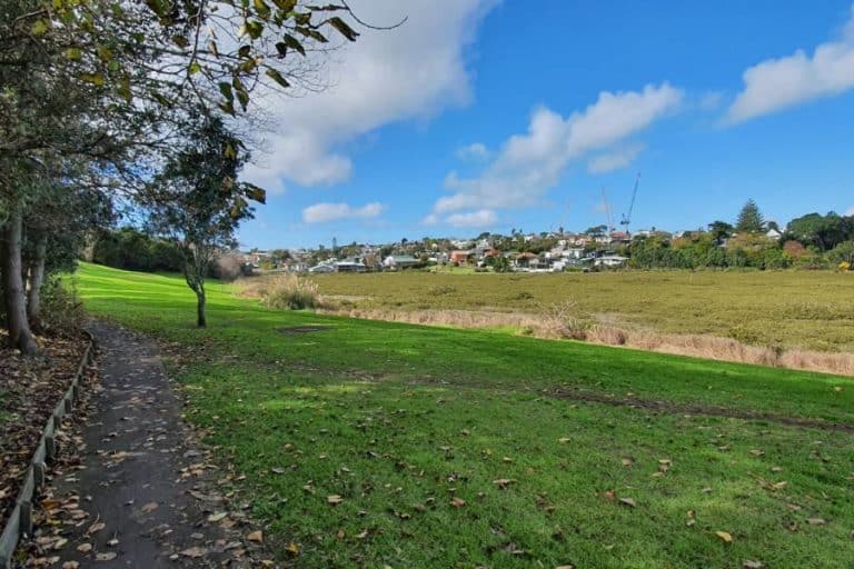 Trees and city peeps along the walk from Takapuna to Devonport - Copyright Freewalks.nz