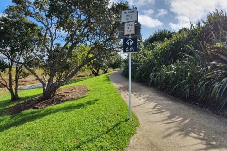 Trees and city peeps along the walk from Takapuna to Devonport - Copyright Freewalks.nz