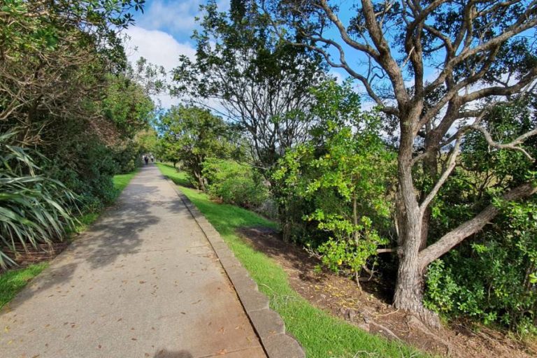 Big footbridge on the walk from Takapuna to Devonport, Auckland - Copyright Freewalks.nz