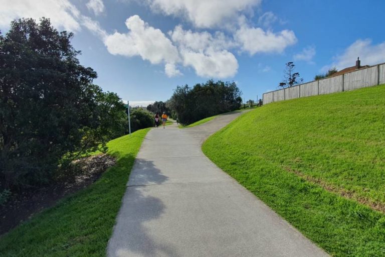 Good quality walking track meets the water about half way Takapuna to Devonport - Copyright Freewalks.nz