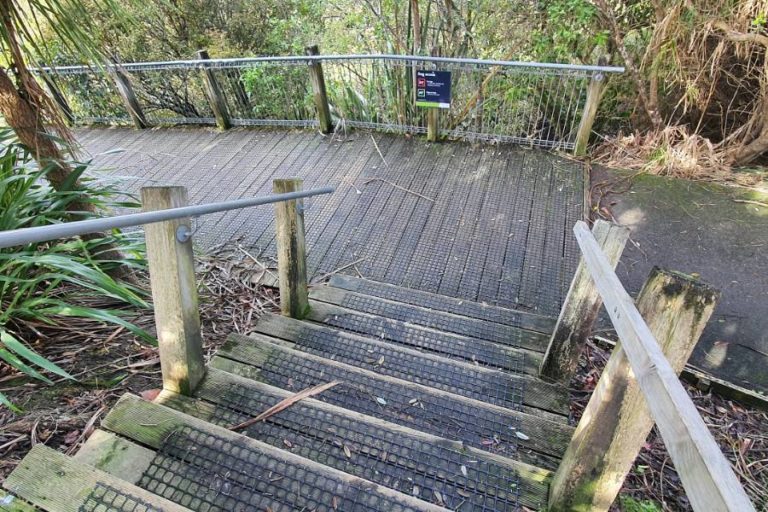 Point 2 - Boardwalk and views - Copyright Freewalk.nz
