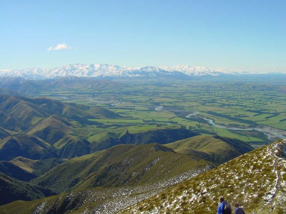 Allans Track Walk from Mt Peel with views over the Canterbury Plains - Geraldine in New Zealand Freewalks.nz