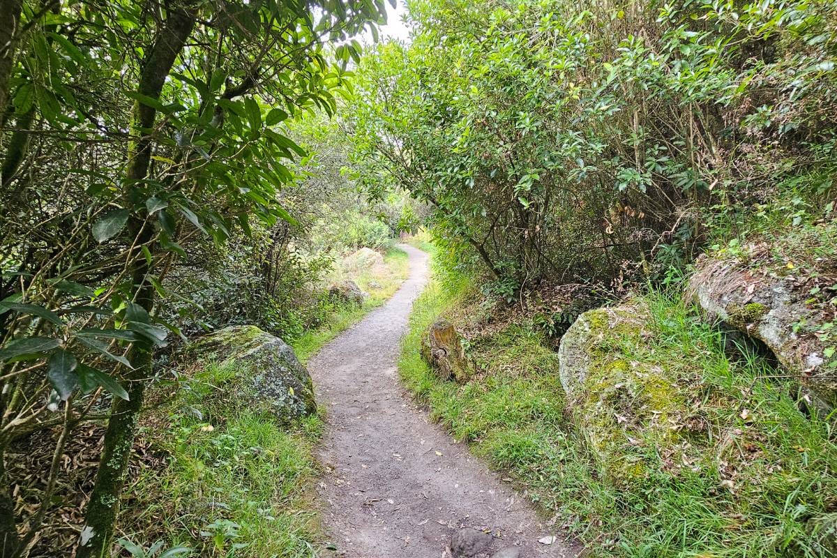 Aratiatia Rapids Lookout Walk (1)