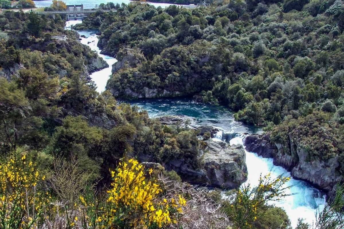 Aratiatia Rapids Lookout Walk