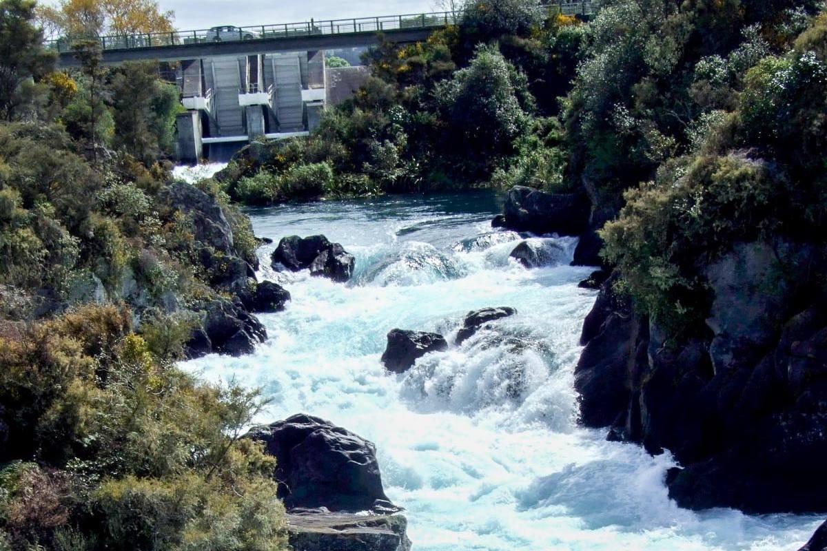 Aratiatia Rapids Lookout Walk (8)
