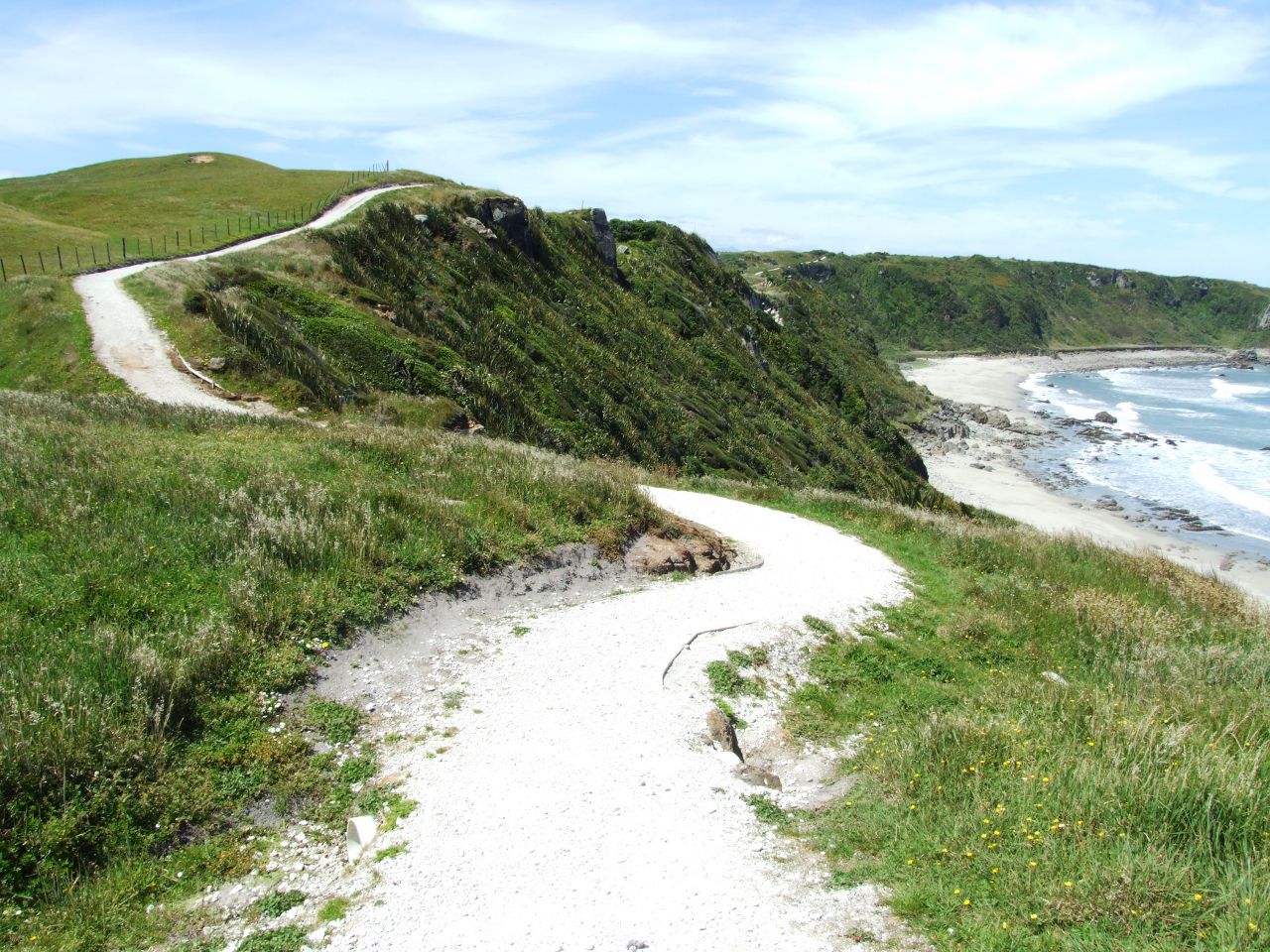 Cape Foulwind Walk in Westport, South Island, New Zealand - Copyright Freewalks.nz