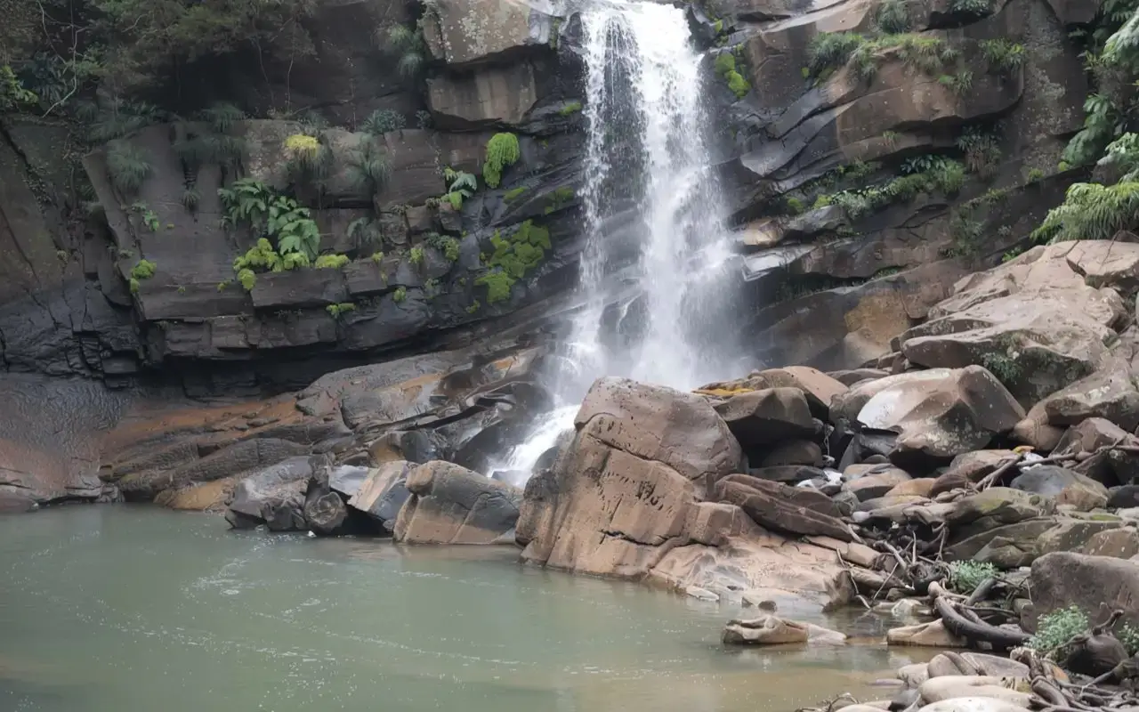 Charming Creek Railway Walk