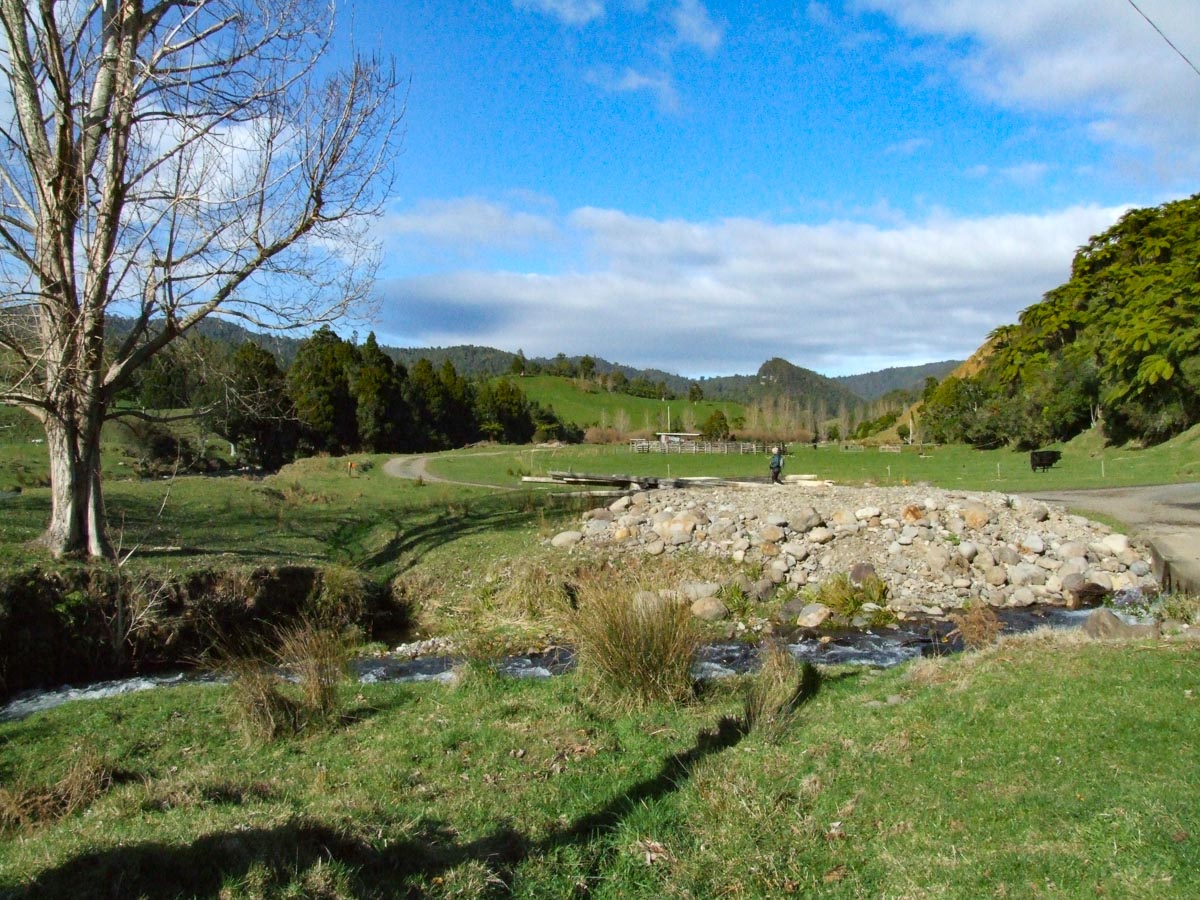 Daly's Clearing Walk in Waihi - Start of the walk over farmland - Copyright Freewalks.nz