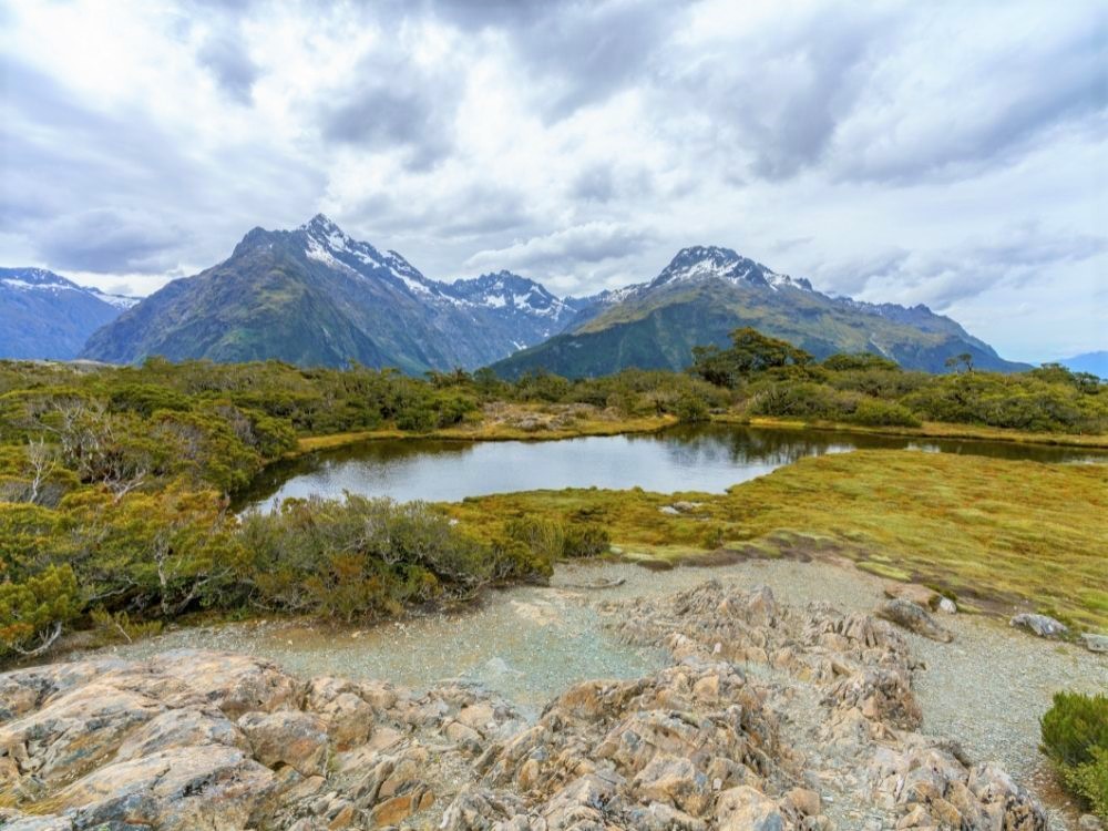 Free Key Summit Track in Milford Sound - South Island - New Zealand - View of a lake on Key Summit Track