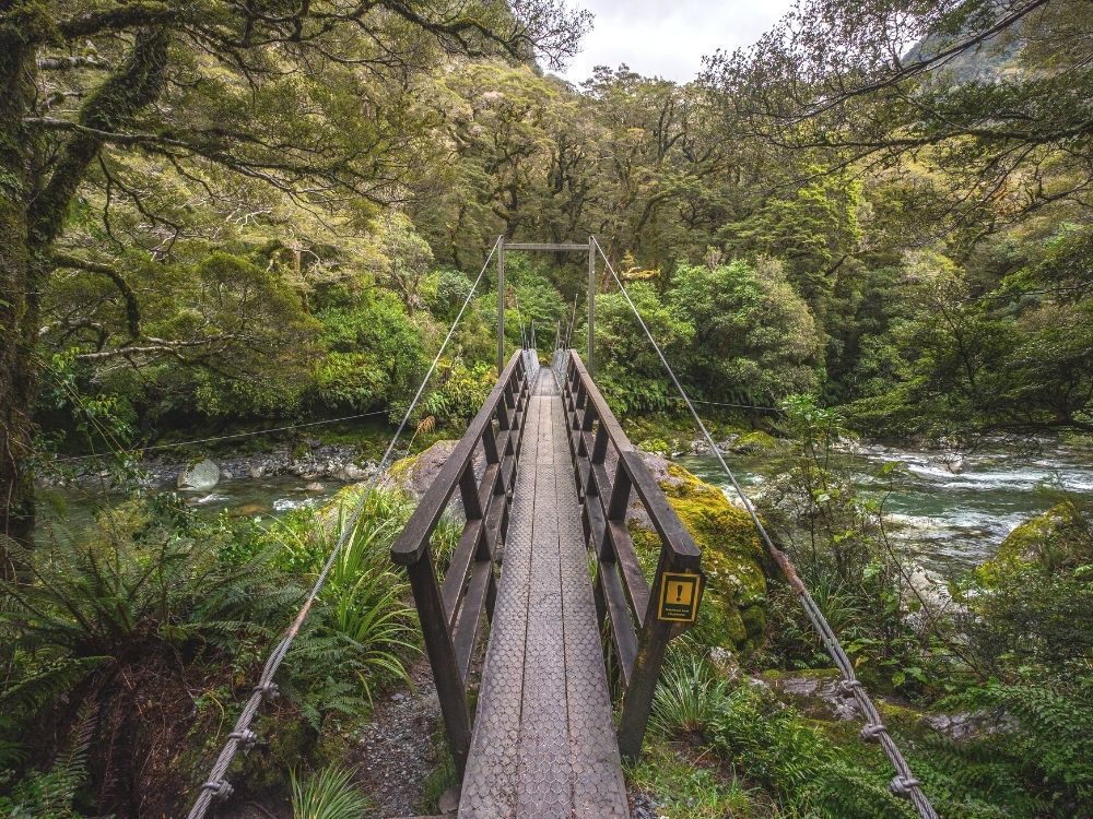 Free Lake Marian Falls Walk in Milford Sound - South Island - New Zealand - Cross the swinging bridge over the Hollyford River