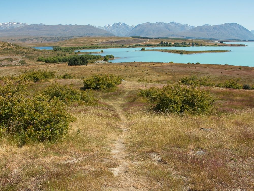 Free Lake Tekapo Peninsula Walk in Tekapo - South Island - New Zealand - View looking over the walkway and Lake Tekapo Peninsula