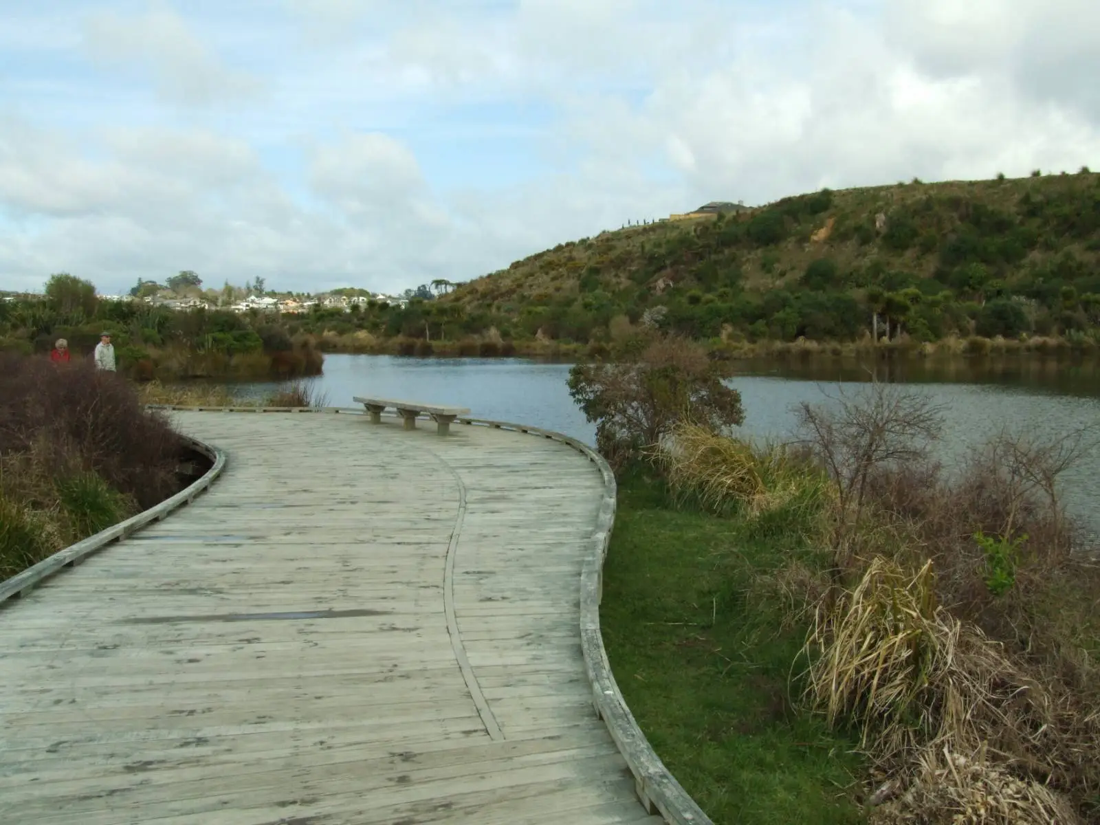 Curved boardwalk alongside the wetland pond at Gordon Carmichael Reserve with bench seating and hillside in the background