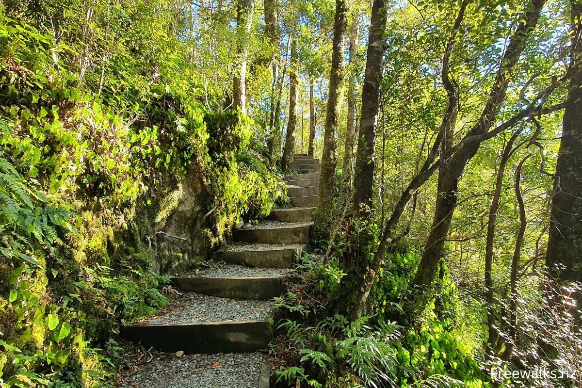 Grave Talbot Track Walk South Island (1)