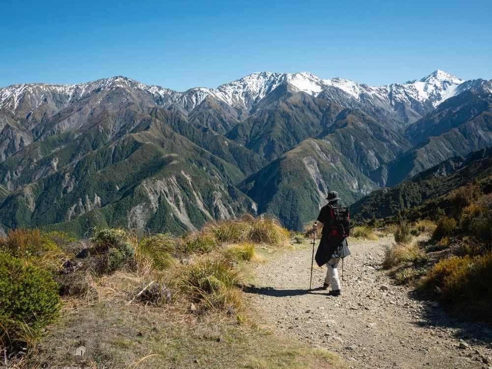 Hiker on the Fyffe-Palmer Track out from Kaikoura
