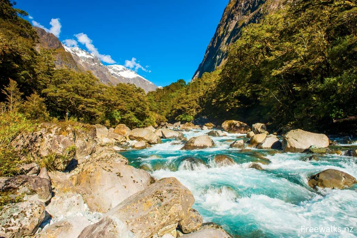 Hidden Falls on the Hollyford Track near Milford Sound - Freewalks.nz|Hidden Falls on the Hollyford Track near Milford Sound - Freewalks.nz
