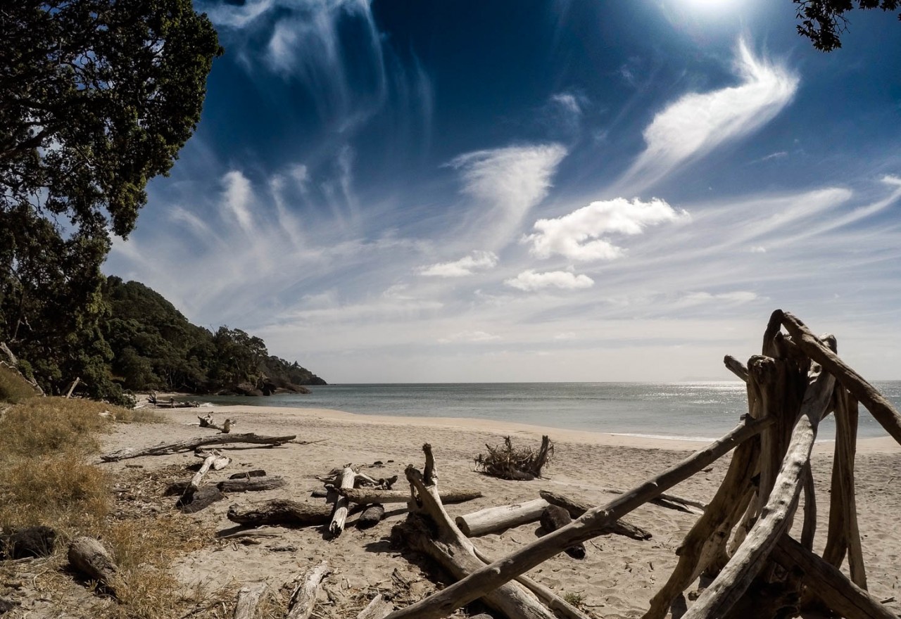 Homunga Bay Track