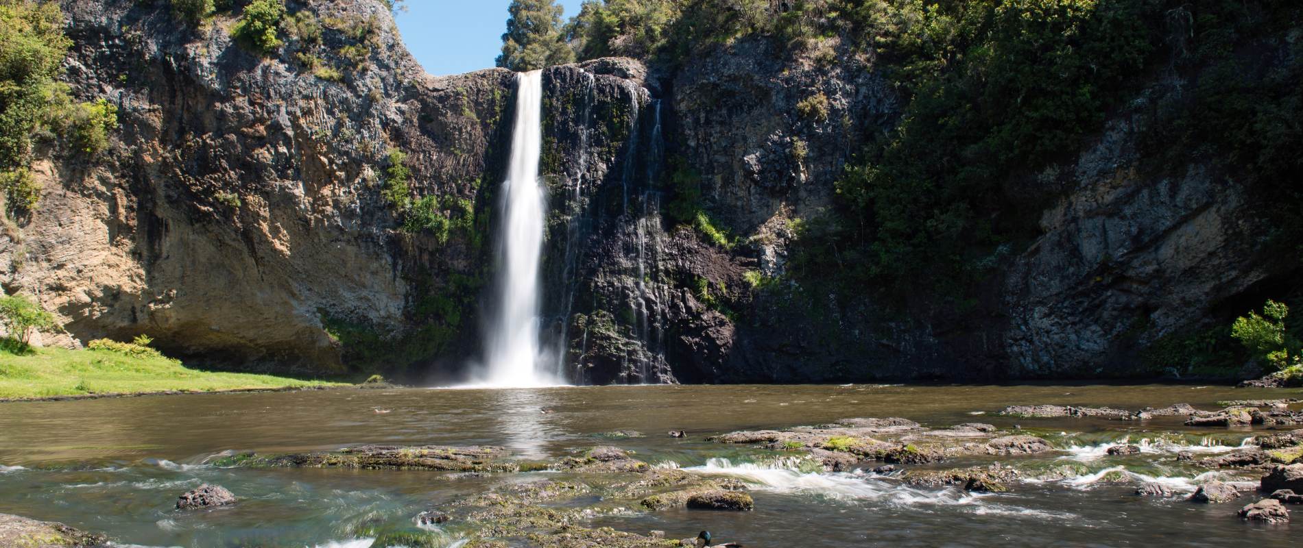 Hunua Falls Walk