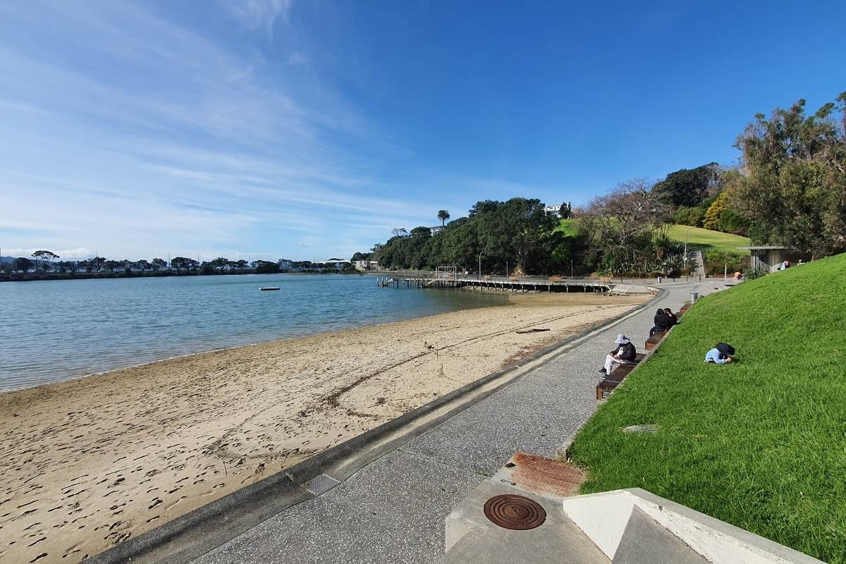 Judges Bay beach in Auckland - Walk by Freewalks.nz