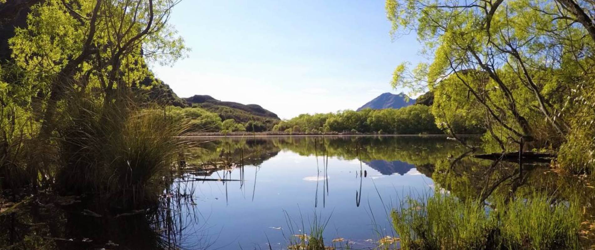 Lake Diamond Walk in Wanaka