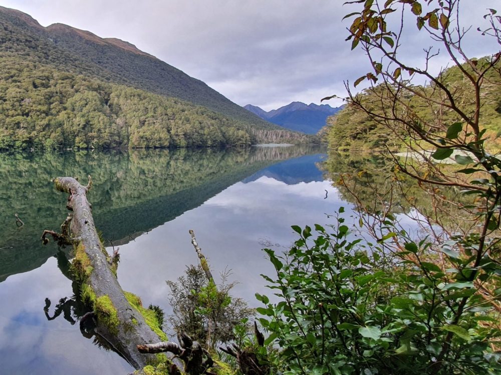 Lake Gunn Walk in the South Island, New Zealand - Copyright Freewalks.nz
