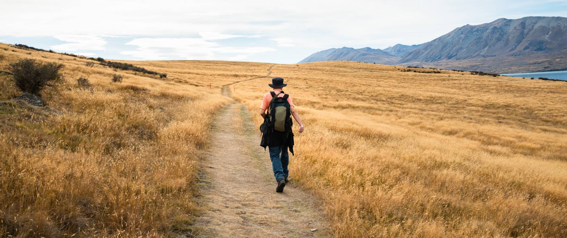 Lake Tekapo Peninsula walk