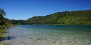 Lake Tikitapu - The Blue Lake near Rotorua New Zealand