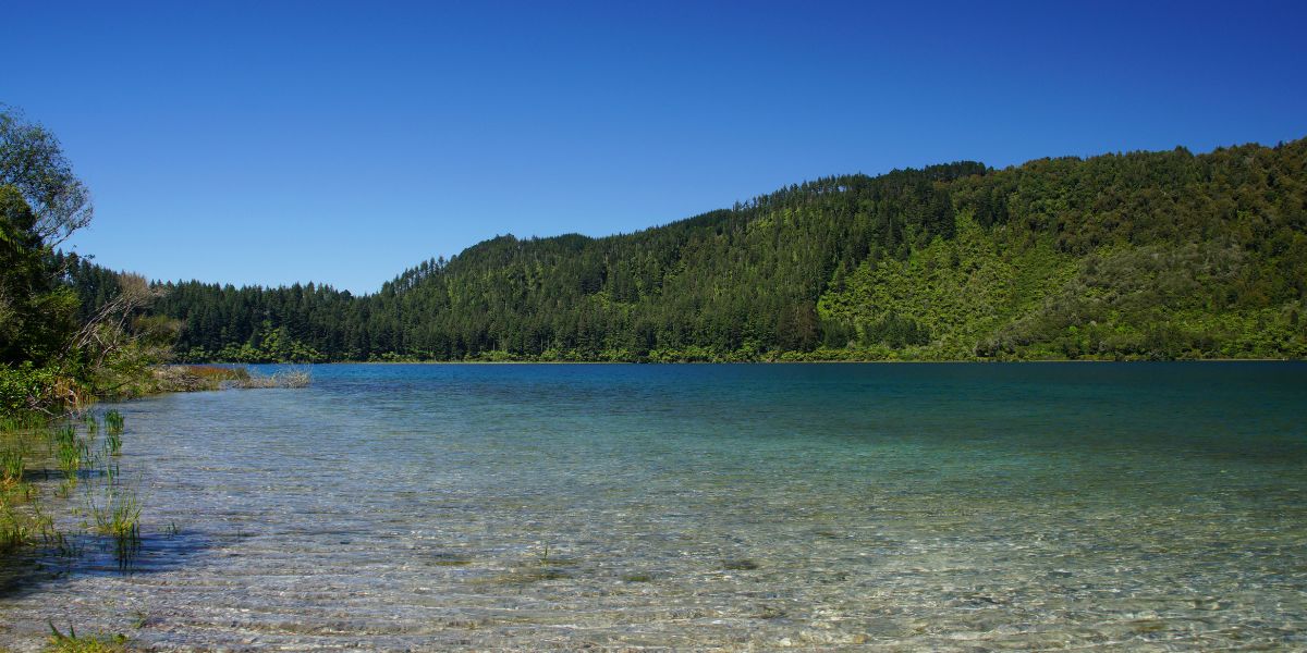 Lake Tikitapu - The Blue Lake near Rotorua New Zealand