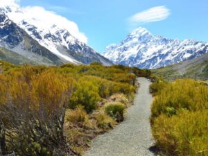Looking out over Mount Wakefield and Mount Cook, New Zealand Freewalks.nz