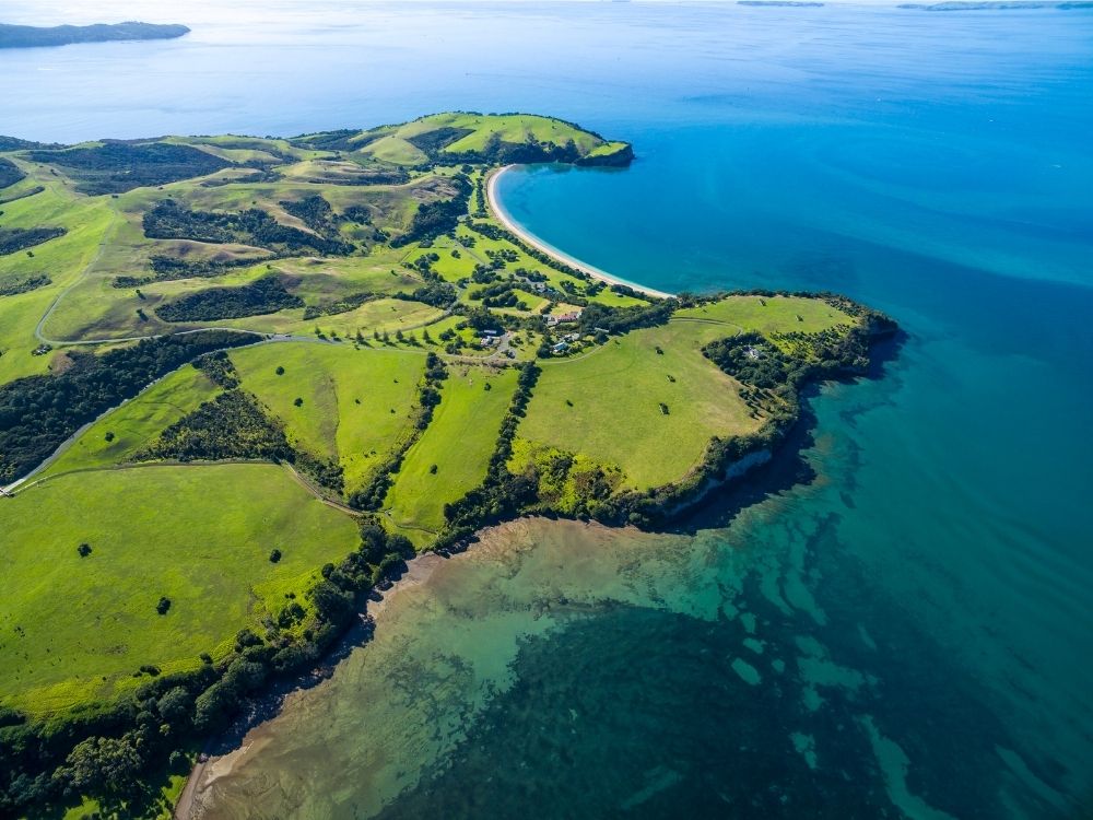 Lookout Track – Shakespear Regional Park