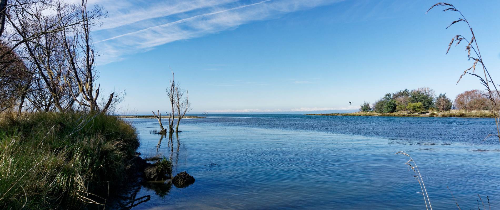 Motueka Waterfront Walk