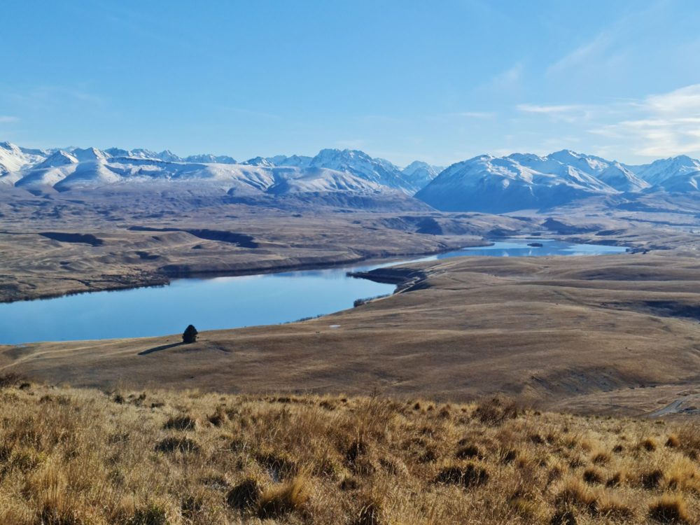 Mt John via Lakeshore Walk - View over Tekapo, South Island, New Zealand