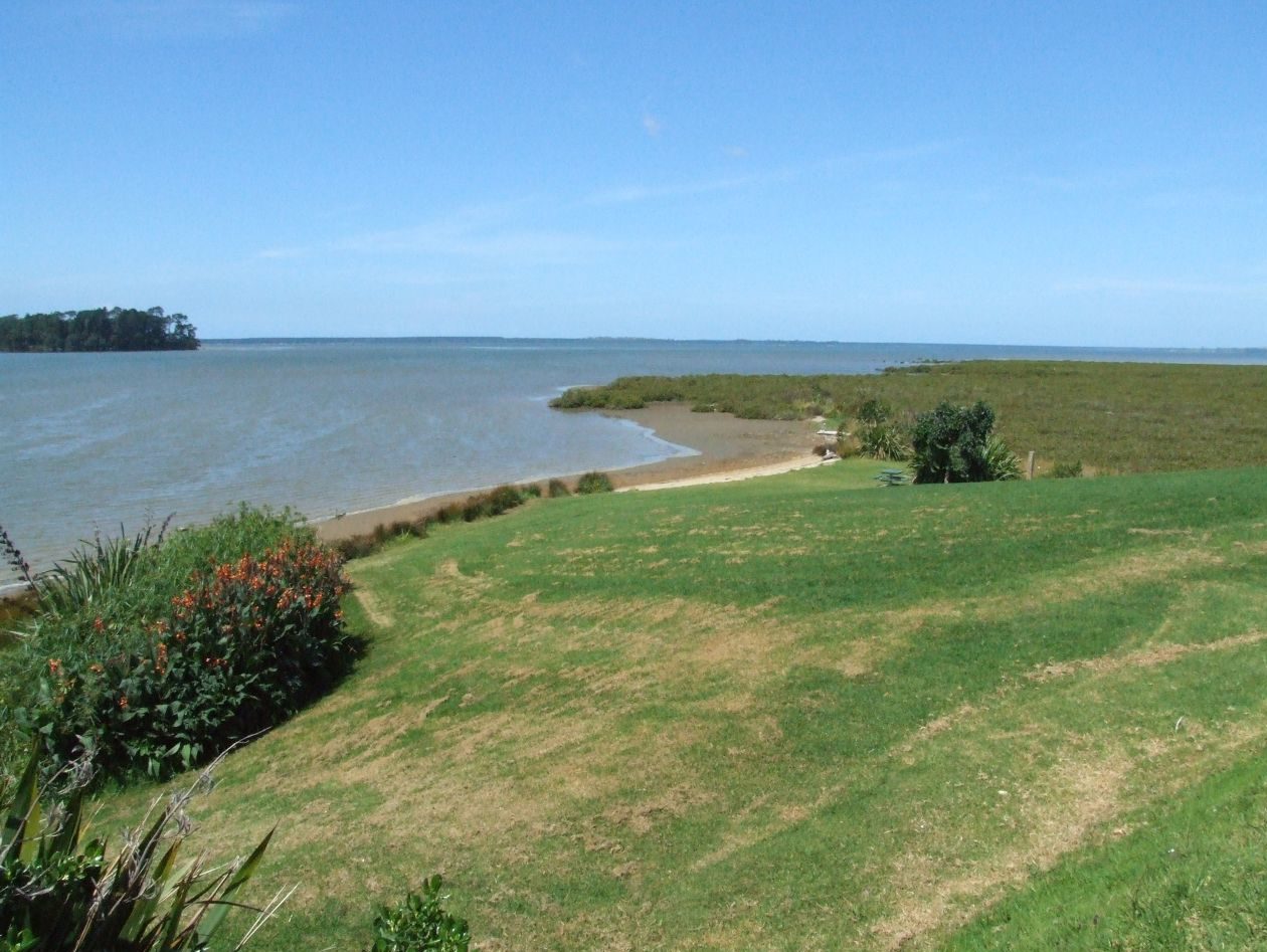 Park Road Reserve Beach - Katikati - Copyright Freewalks