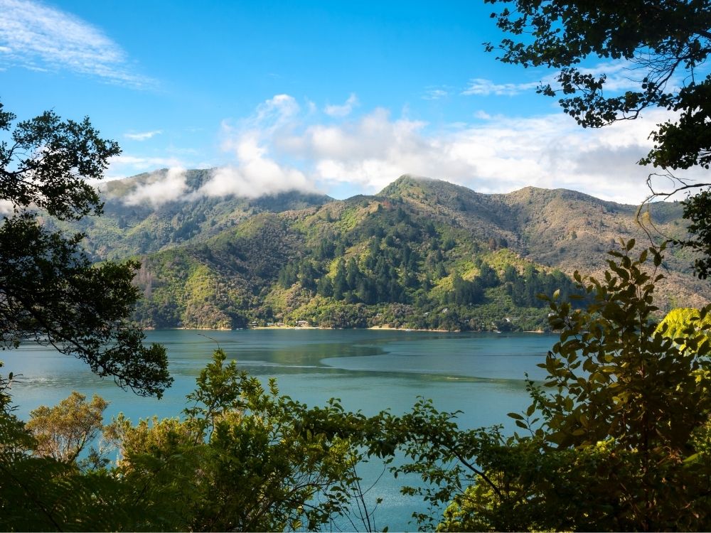 Queen Charlotte Track free walk in Marlborough, New Zealand - View of Marlborough Sounds from the Queen Charlotte Track