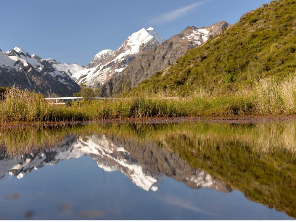 Reflection of Mt Cook on the Red Tarns track, New Zealand Freewalks.nz
