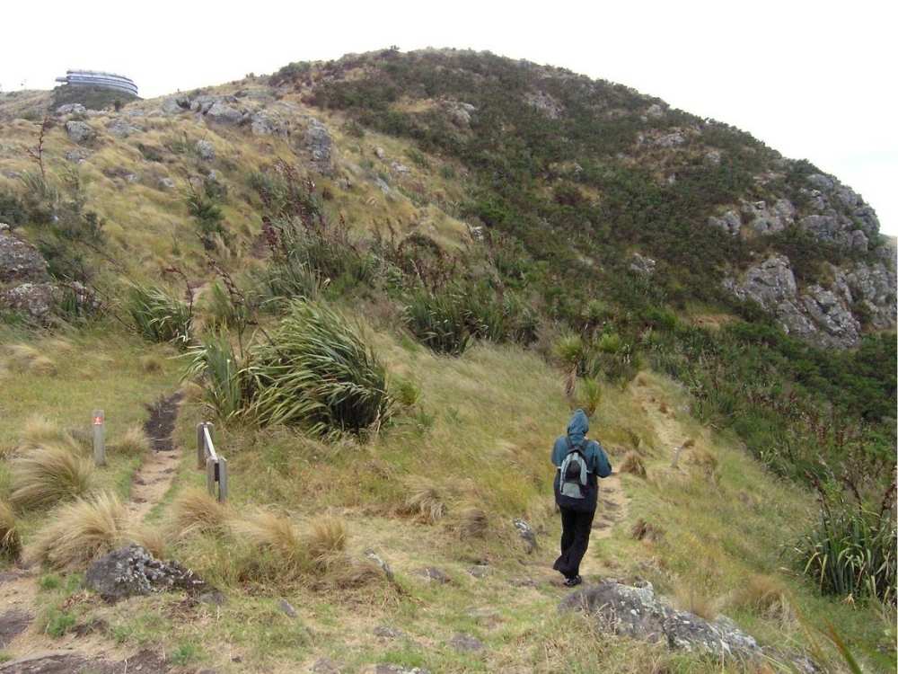 Sandra walking along The Bridle Path walk in Christchurch, New Zealand Freewalks.nz