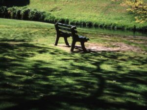 Seat in Centennial Park, Timaru, New Zealand Freewalks.nz