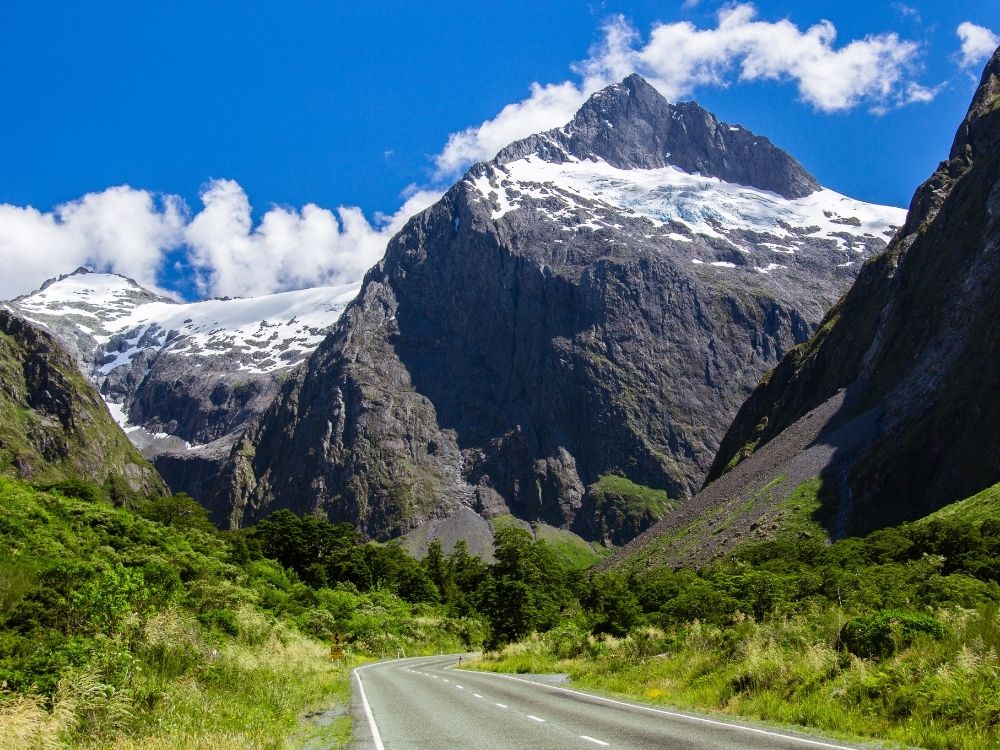 South Island Walks » Geraldine » Totara Track Walk – Talbot Forest Scenic Reserve