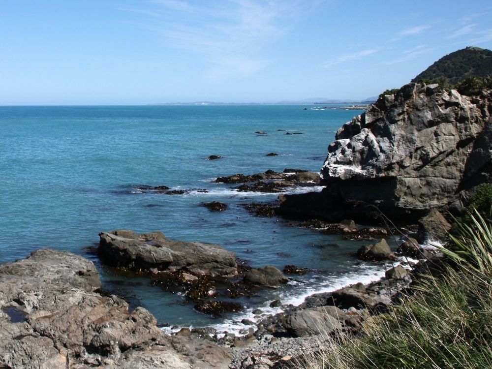 South Island Walks » Kaikoura » Haumuri Bluff Walk - NZ