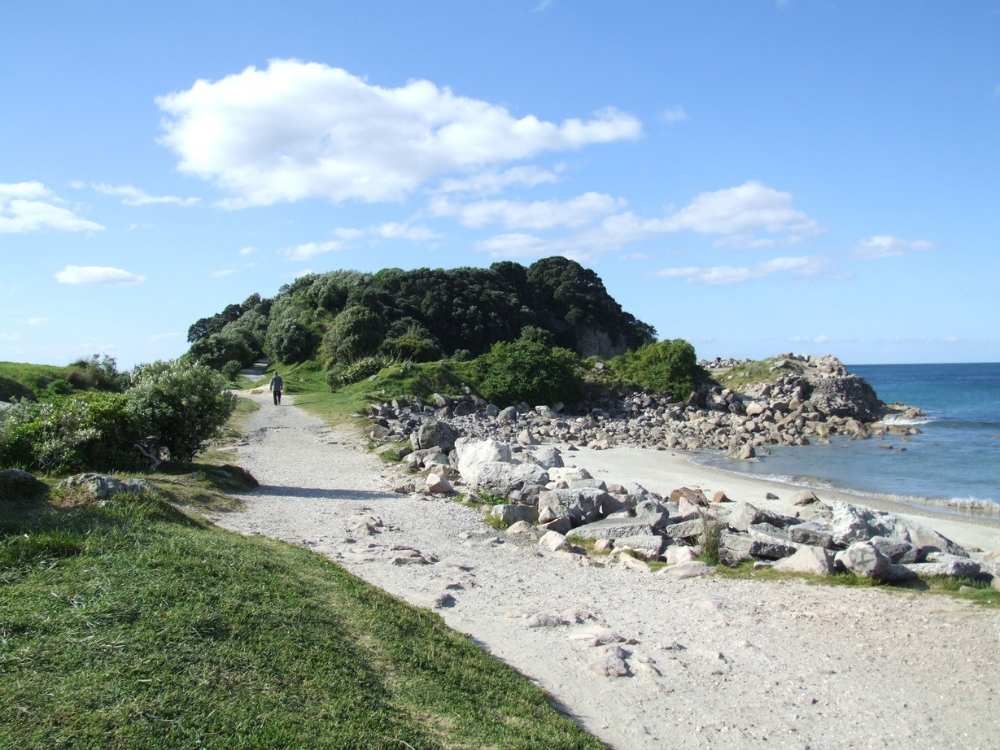 Start of the Moturiki Island walk Mount Maunganui Walks - Freewalks.nz